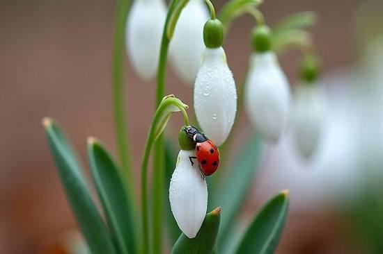 Наши новости